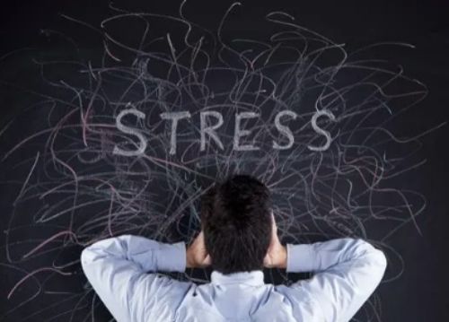 스트레스