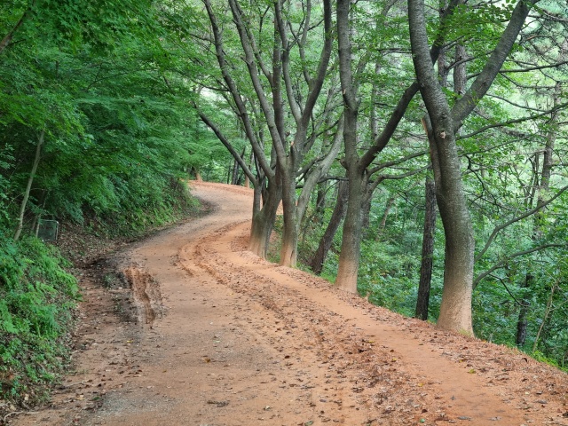 계족산-황톳길