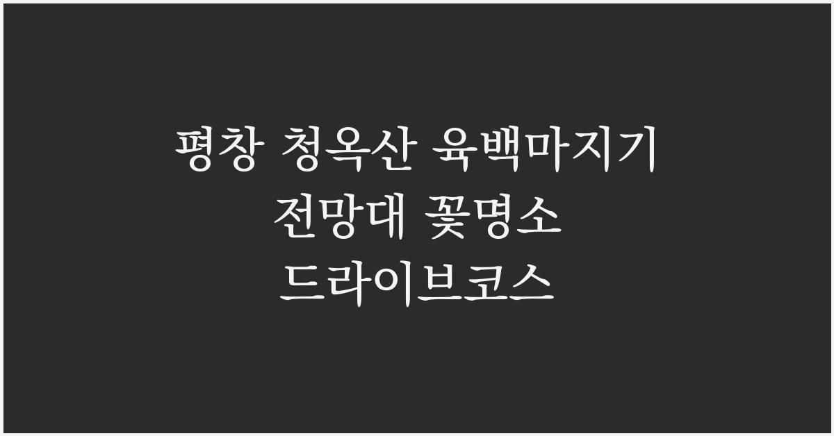 평창 청옥산 육백마지기 전망대 꽃명소 드라이브코스