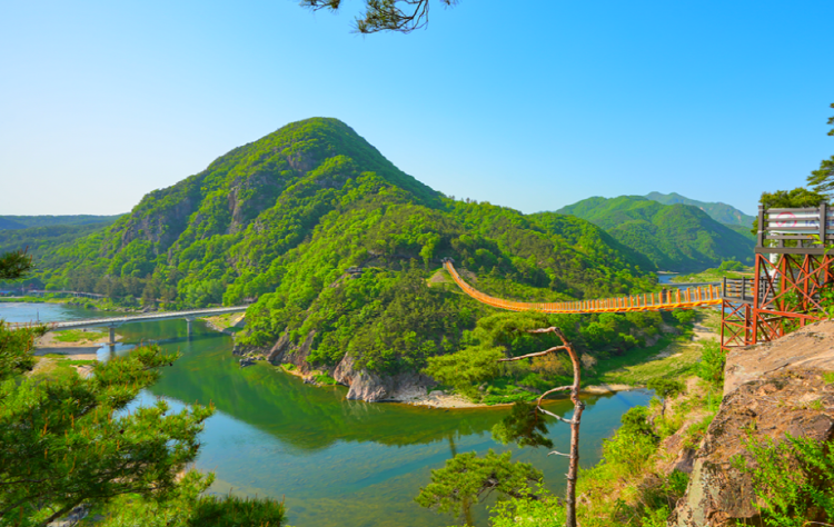 월영산 출렁다리