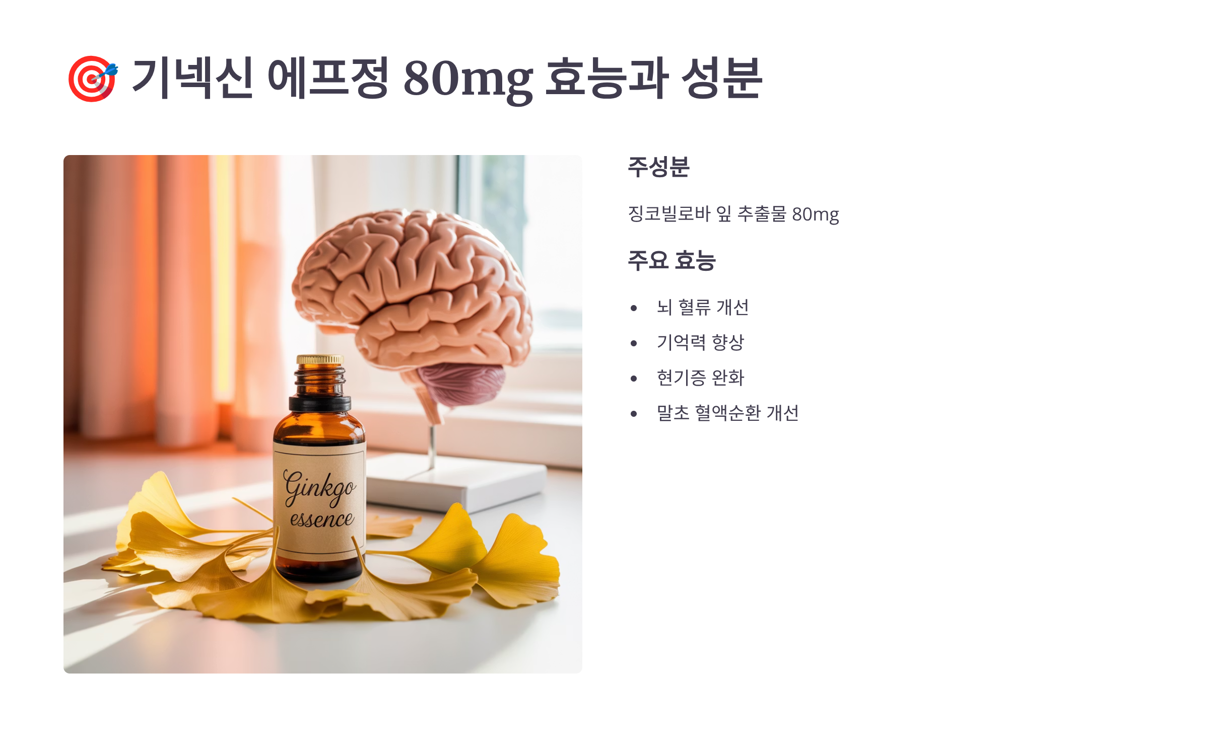 기넥신 에프정 효능과 성분