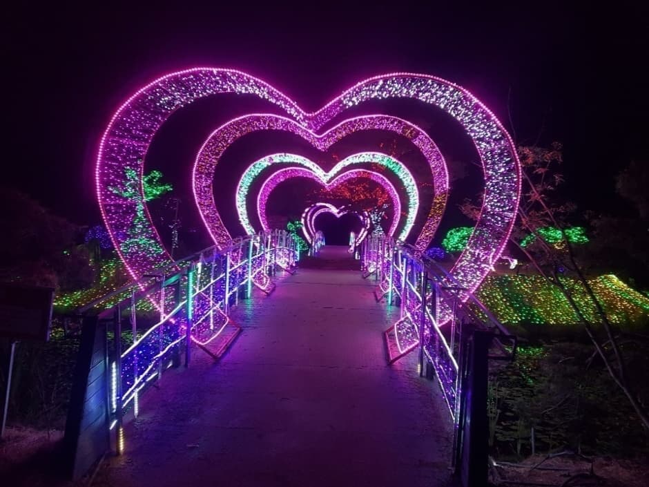 태안 봄꽃정원 & 태안빛축제|하루가 두 번 예쁜 곳