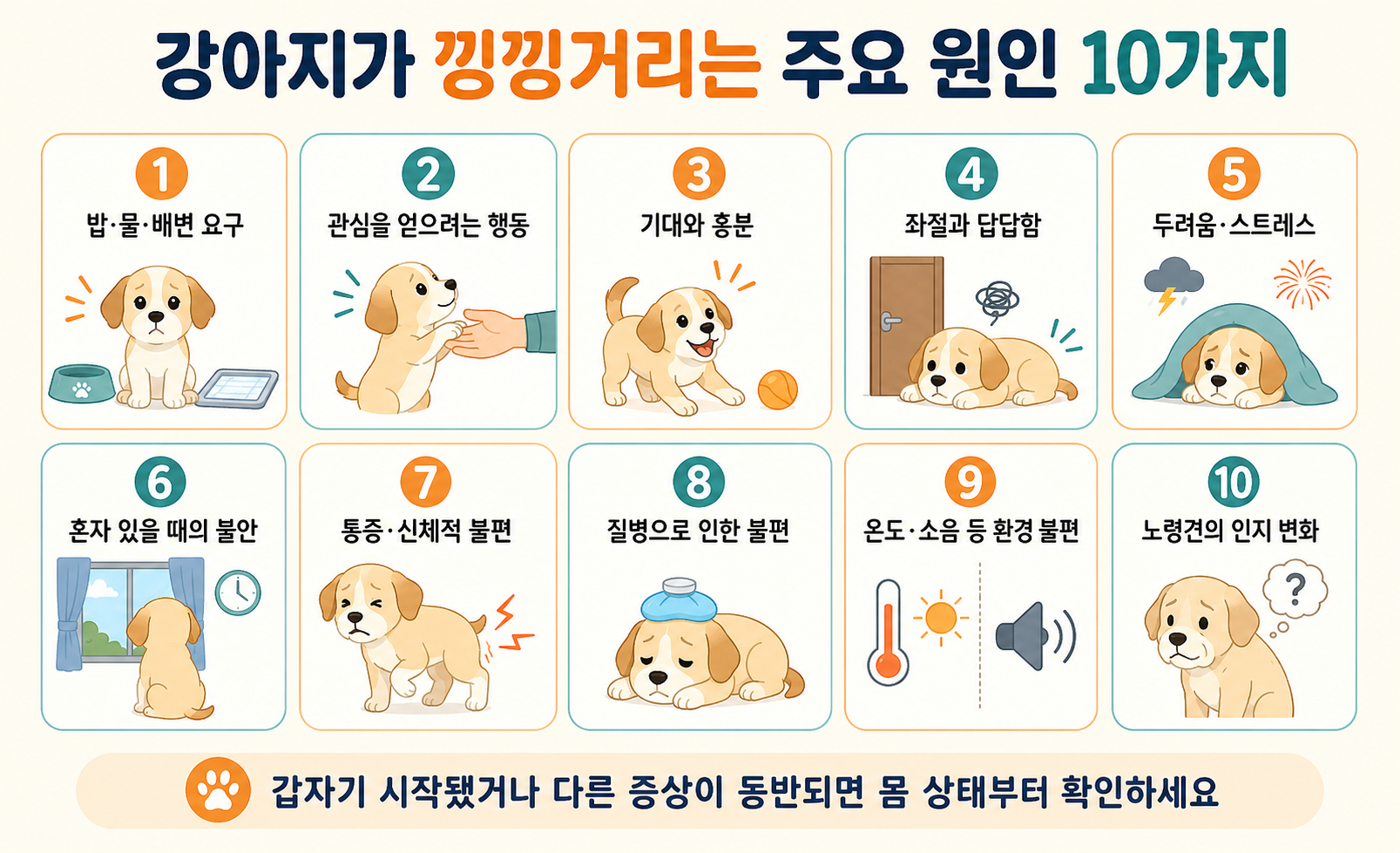 강아지가 낑낑거리는 주요 원인 10가지와 행동 및 건강 관련 신호