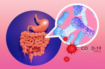 인체 속 40조의 박테리아