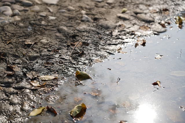 미세 플라스틱과 토양 생태계: 미생물 군집에 미치는 영향 분석