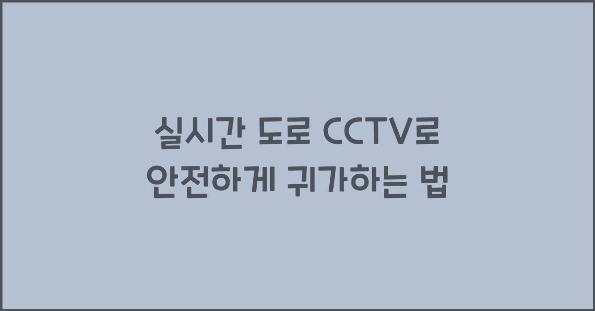 실시간 도로 cctv