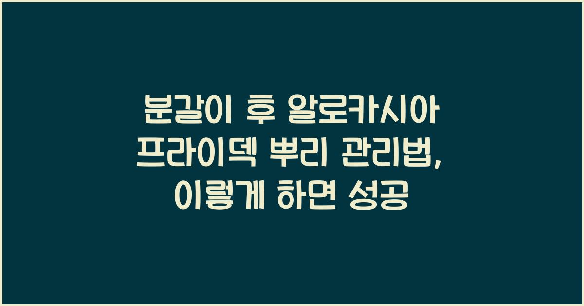 분갈이 후 알로카시아 프라이덱 뿌리 관리법