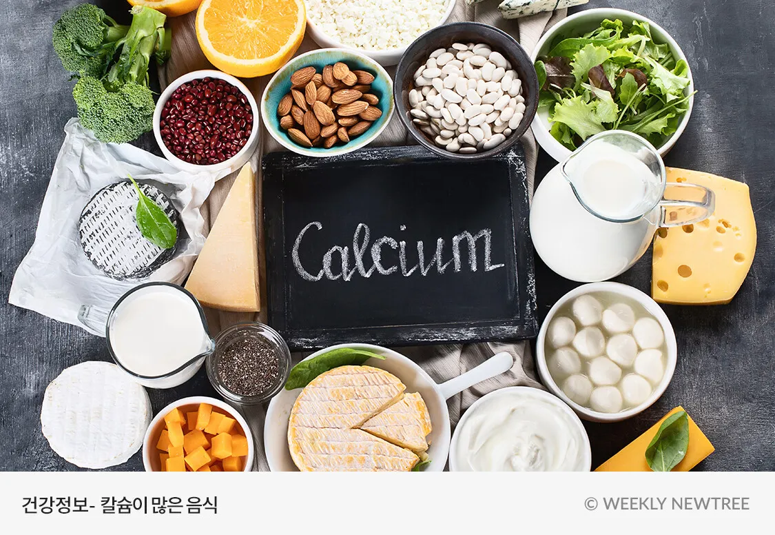 칼슘 하루 권장량