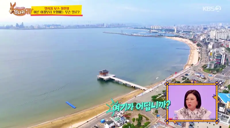 사장님귀는 당나귀귀 정호영 포항 10미 등푸른막회 포항물회 비빔물회 물회 포항 백종원 3대천왕 고추장 물회 맛집 위치 오늘방송 정보