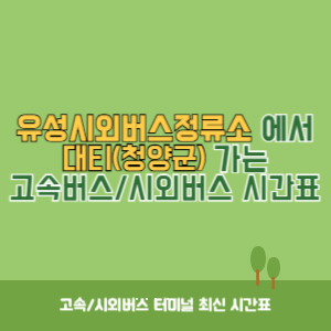 유성시외버스정류소에서 대티(청양군) 가는 시외버스 시간표 최신정보