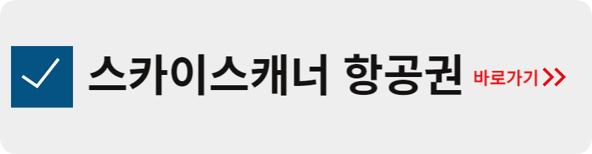 스카이스캐너 항공권