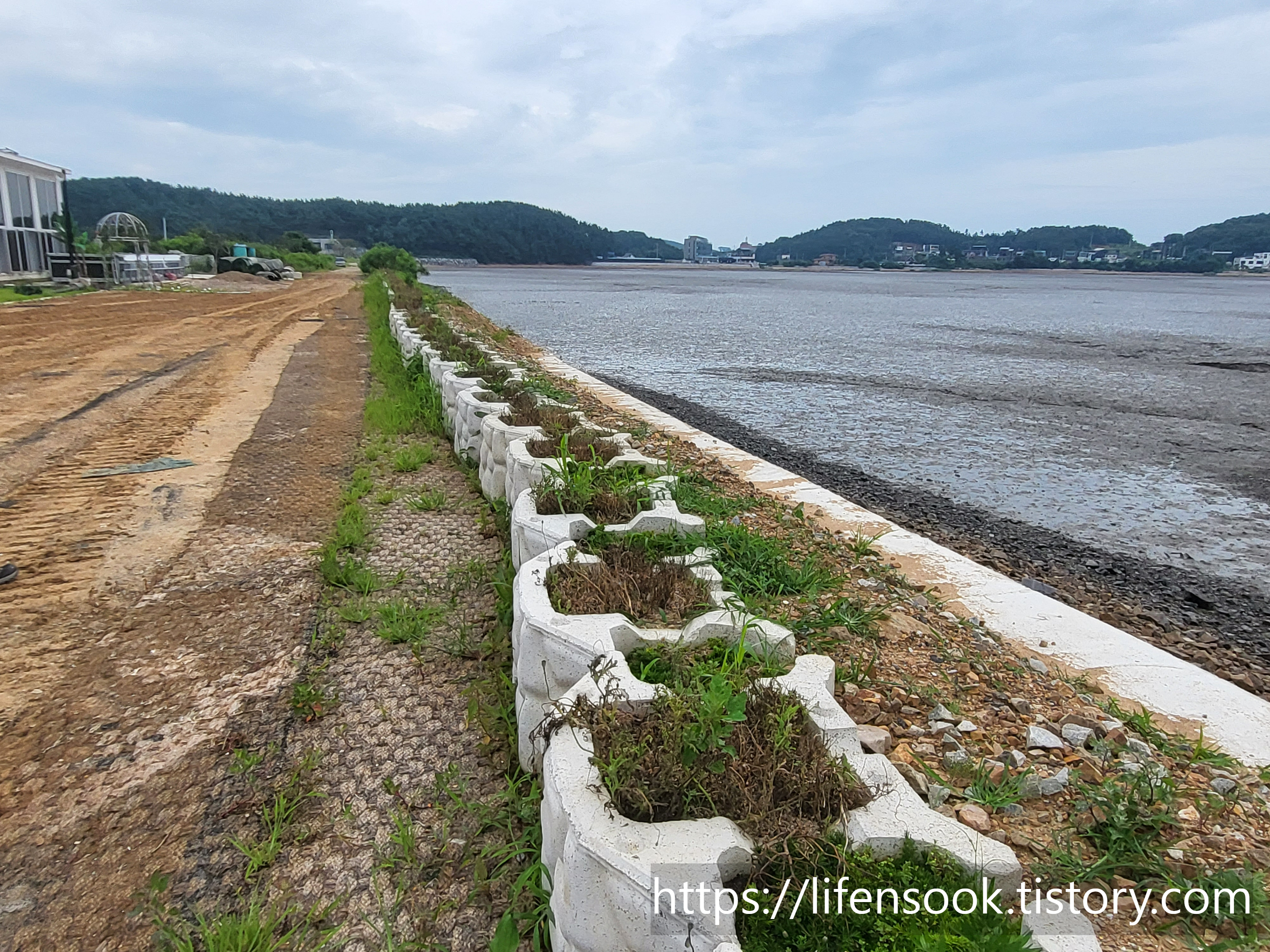 대부해솔길 3코스 길 7