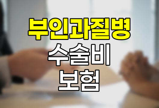 농협손해보험 부인과질병수술비, 여성 건강 보장의 새로운 지평
