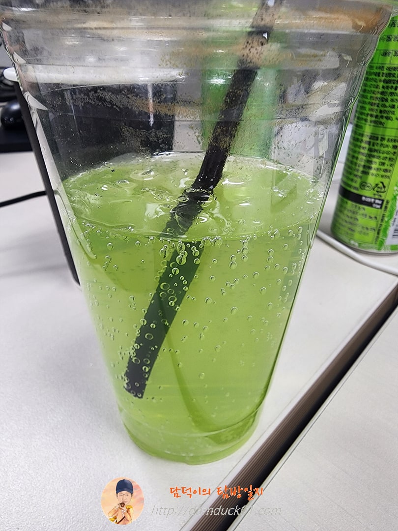 몬스터 에너지 울트라 파라다이스