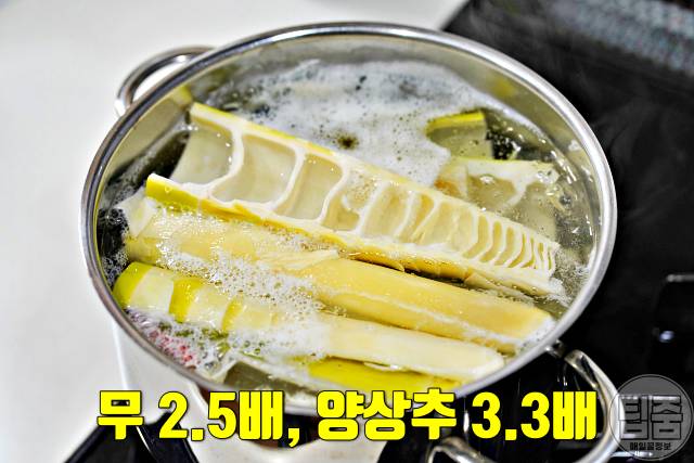 죽순 효능 죽순부작용 죽순영양성분 대장암 식이섬유