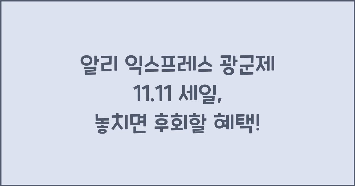 알리 익스프레스 광군제 11.11 세일