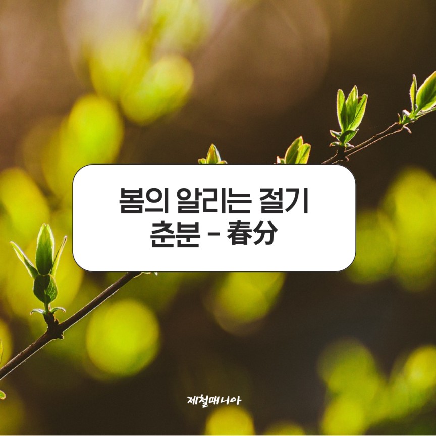춘분