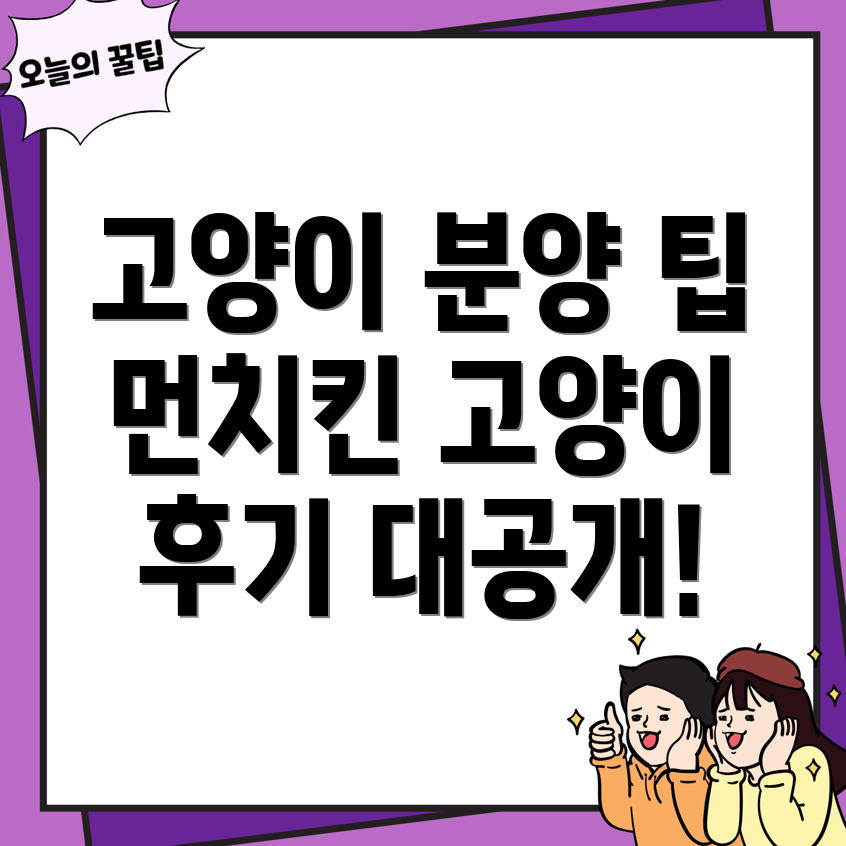 고양이 분양