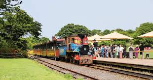  국내 가을 여행 - 에코랜드