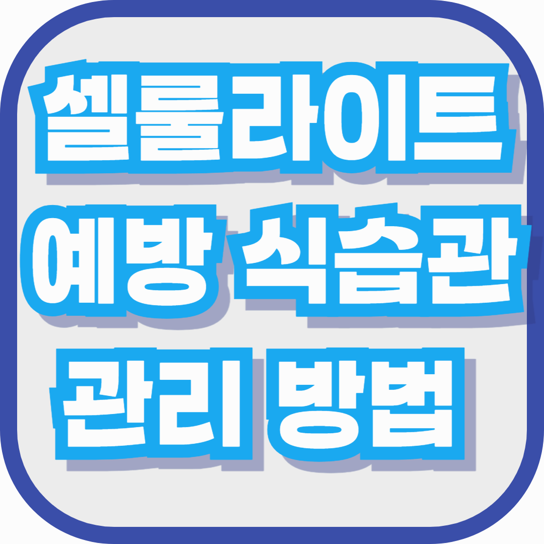 다리 셀룰라이트, 더워질수록 신경 쓰이죠? – 셀룰라이트 예방 식습관과 관리 방법 총정리