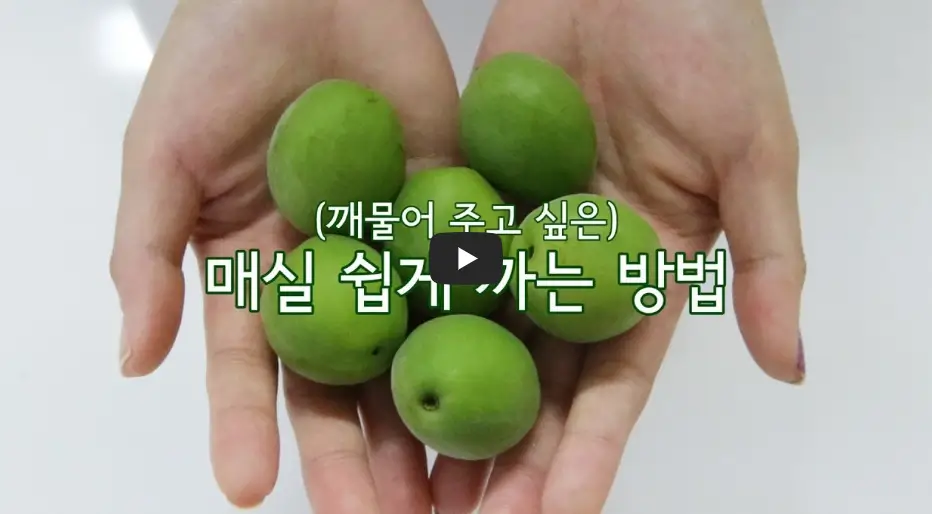 매실 쉽게 까는 방법