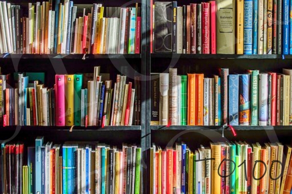 책이 나열되어 있다