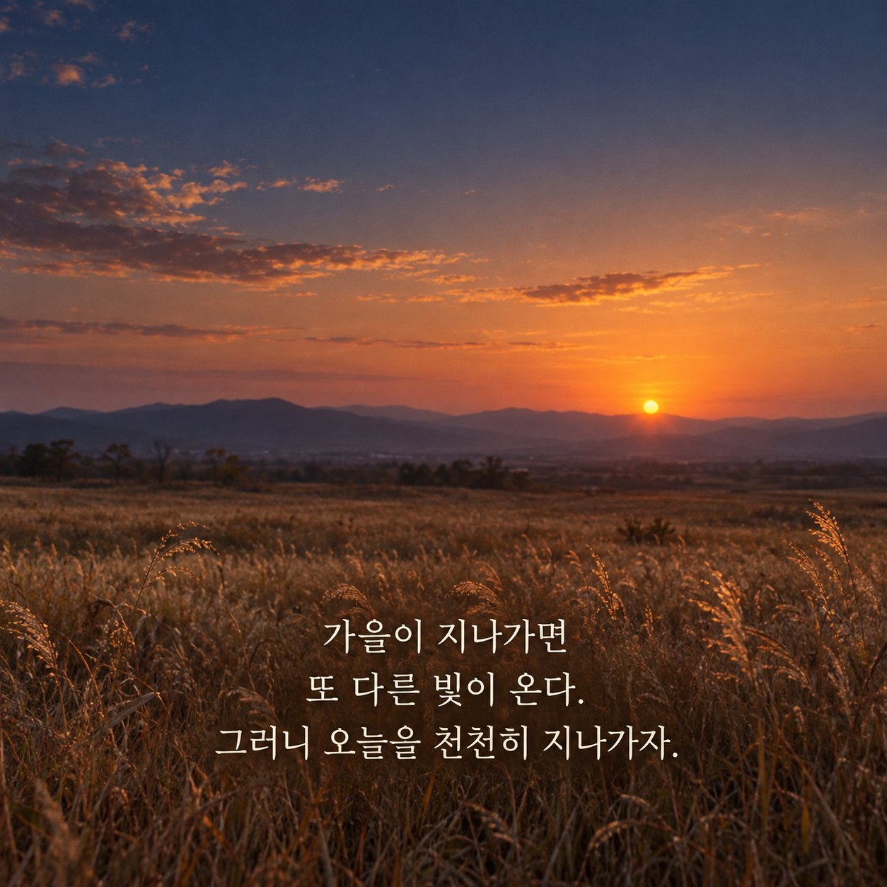 가을이 지나가면 또 다른 빛이 온다 그러니 오늘을 천천히 지나가자