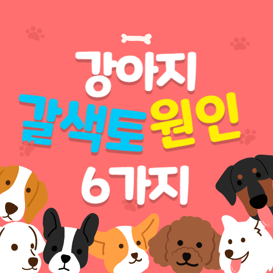 강아지 갈색토