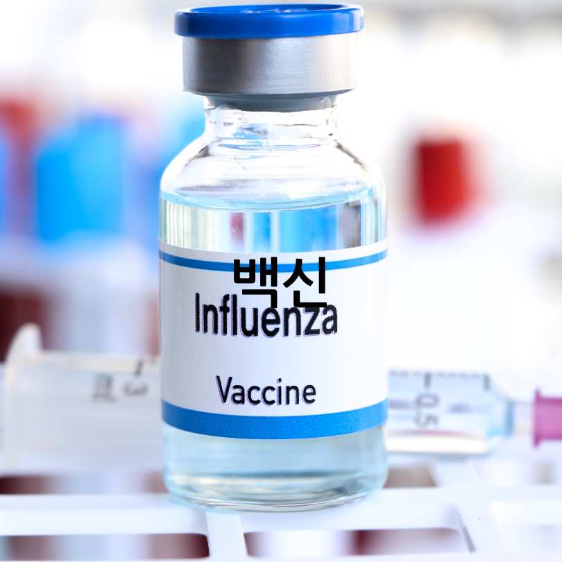 A형독감과 B형독감 차이