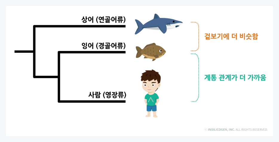 관계도와 유사도