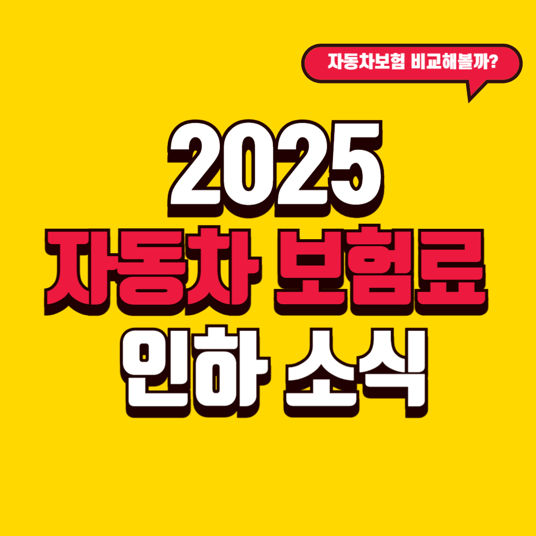 2025 자동차 보험료 인하 소식