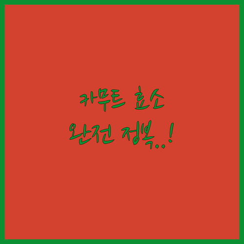 탄수화물 분해 돕는 카무트 효소 추천..