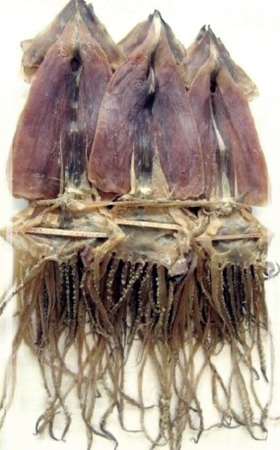 마른 오징어의 효능중에서 Top4.