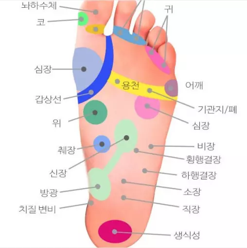 발지압기
