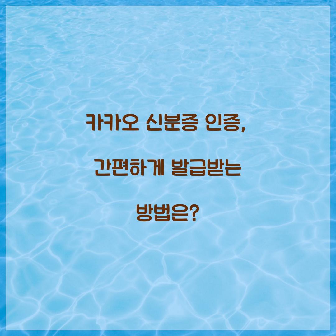 카카오 신분증 인증