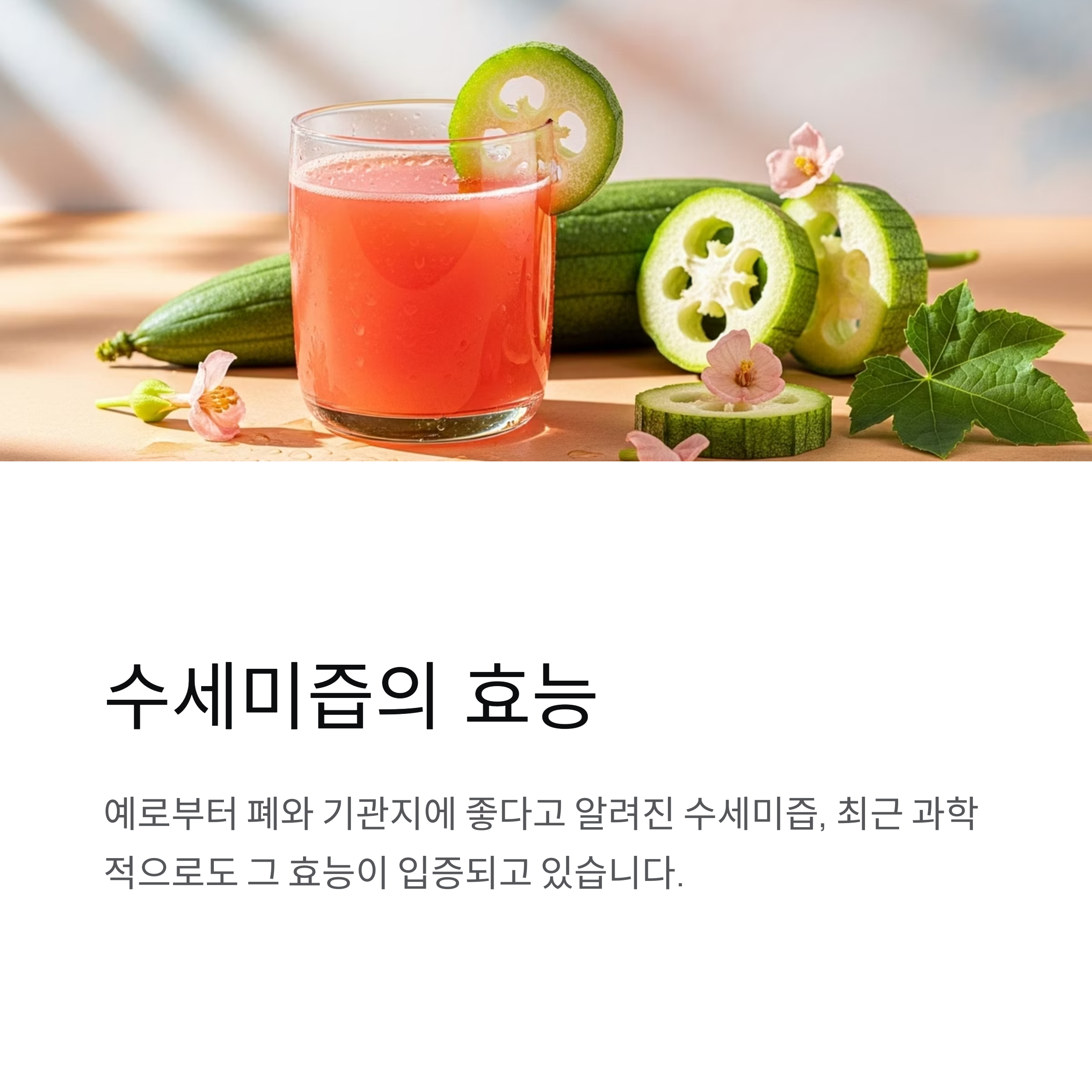 수세미즙의 효능