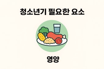성장기에 필요한 요소