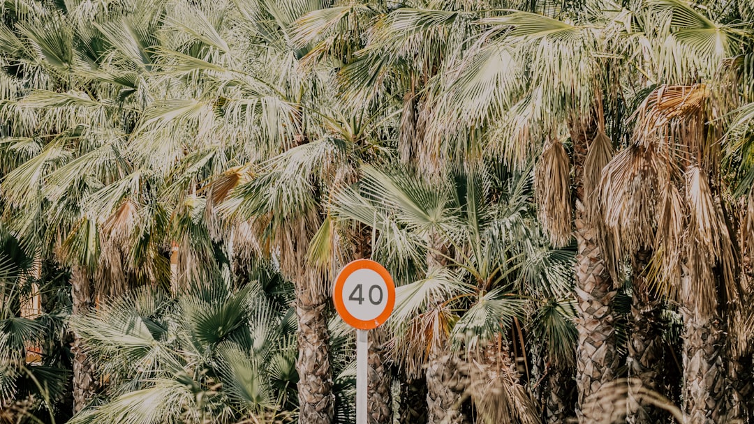 Limit