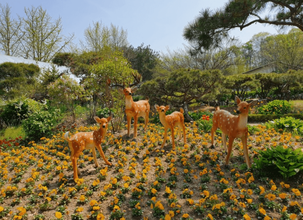 μ¨λ΄μλ¬Όμ-κ°€λ¬λ¦¬