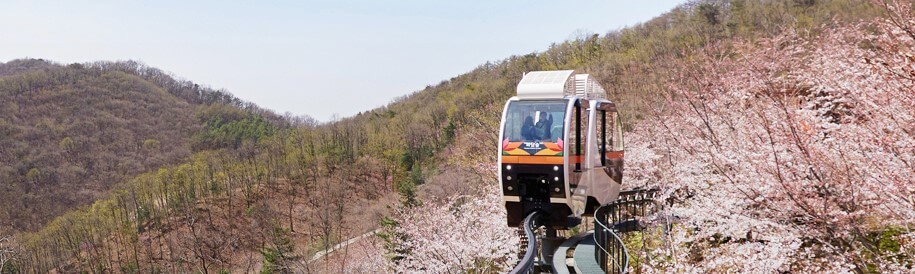 화담숲 가을 단풍축제가 11월 15일까지 한달간 진행합니다.