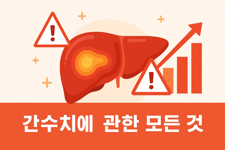 간수치에 대한 모든 것