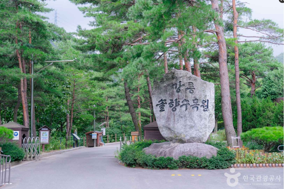 강릉 솔향 수목원02