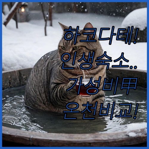 하코다테 숙소 순위 가성비와 온천 시..