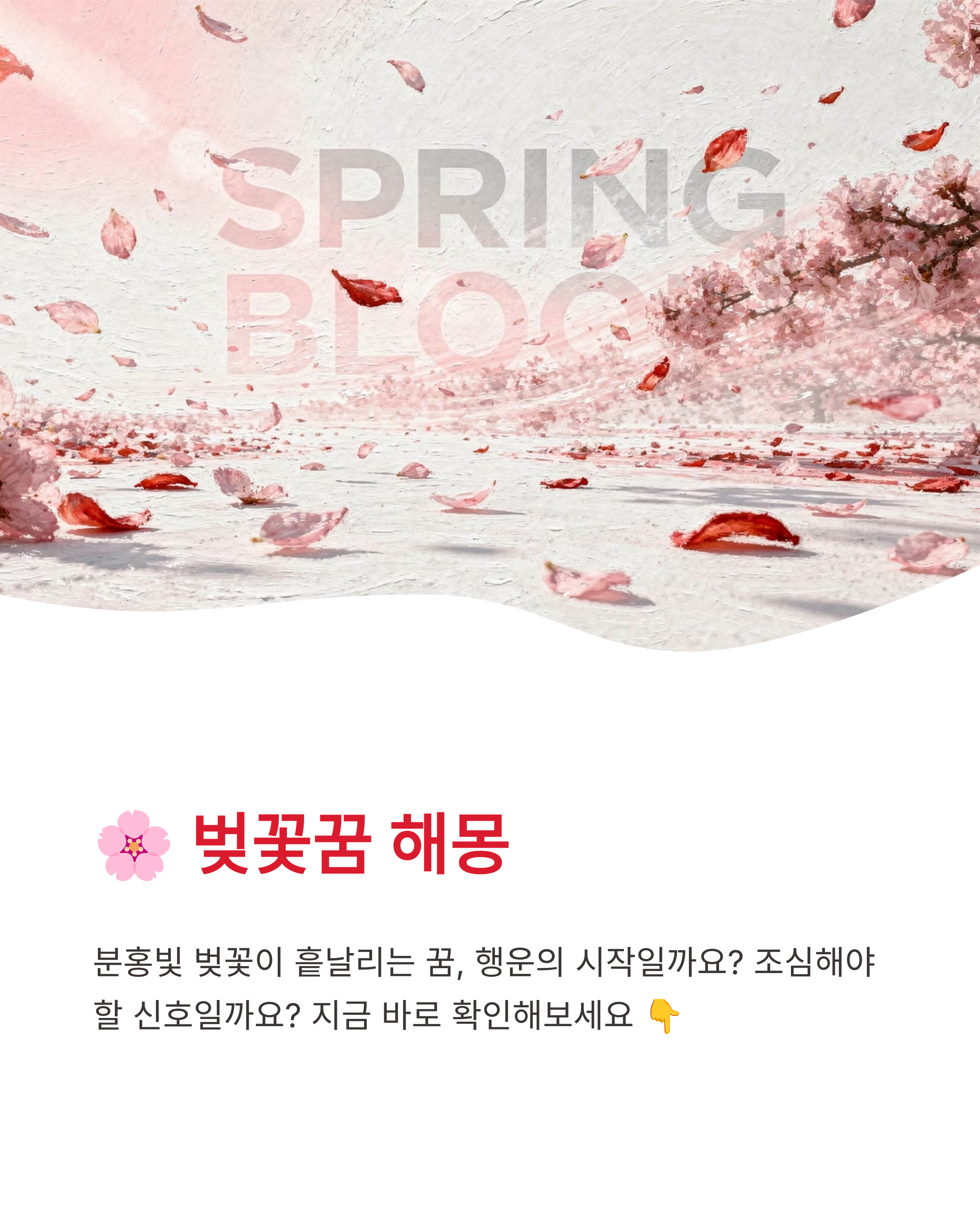 벚꽃꿈 해몽 벚꽃 구경하고 지는 꿈까지 기분 좋은 연애운과 반전 복의 신호?