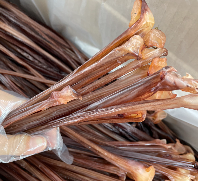 생방송투데이 이주의 장바구니 기장미역 택배 구매 기장건어물오빠 정보