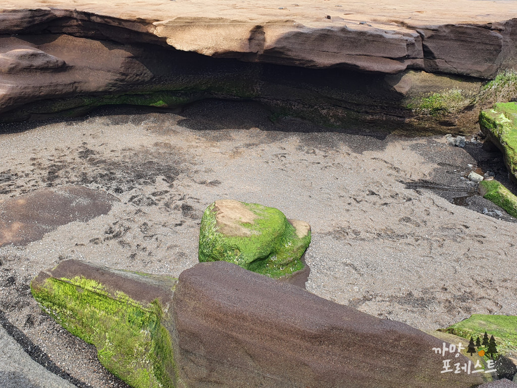 사계 해안 퇴적층