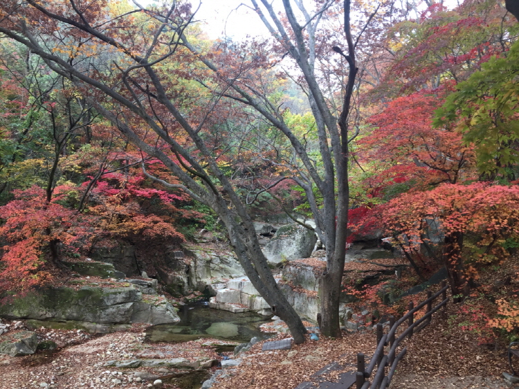 북한산 생태탐방원 전경