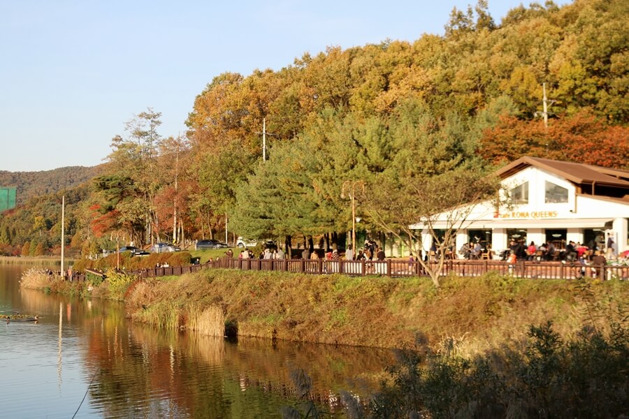 반려견과 함께 떠나는 분당&middot;판교 가을산책 단풍명소 추천 : 탄천산책로&middot;율동공원&middot;판교생태공원