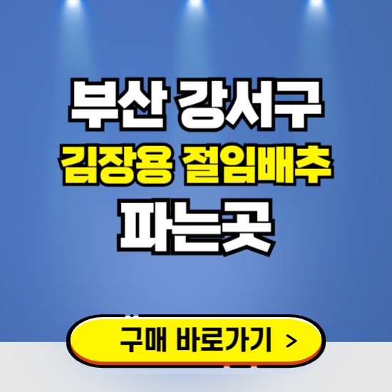 부산 강서구 절임배추 사전예약 구입하는곳 ❘ 김장배추 파는곳 가격보기
