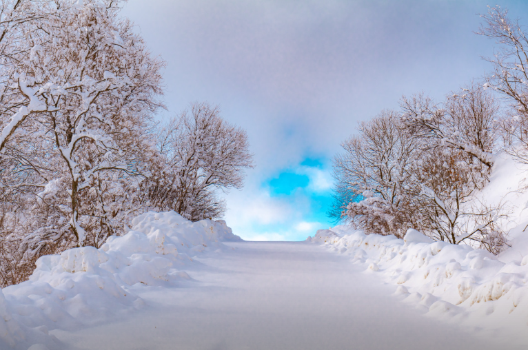 생방송투데이 대관령하늘목장 강원도 평창